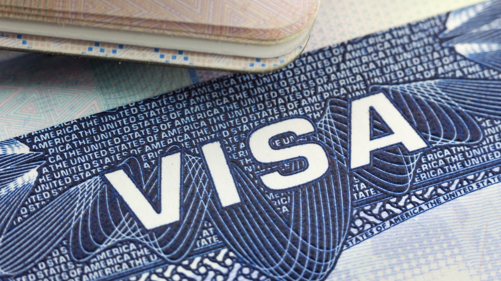 record number of u visa applications