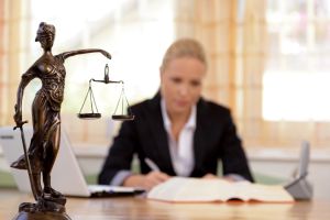 Successful Business Immigration Attorney In Texas